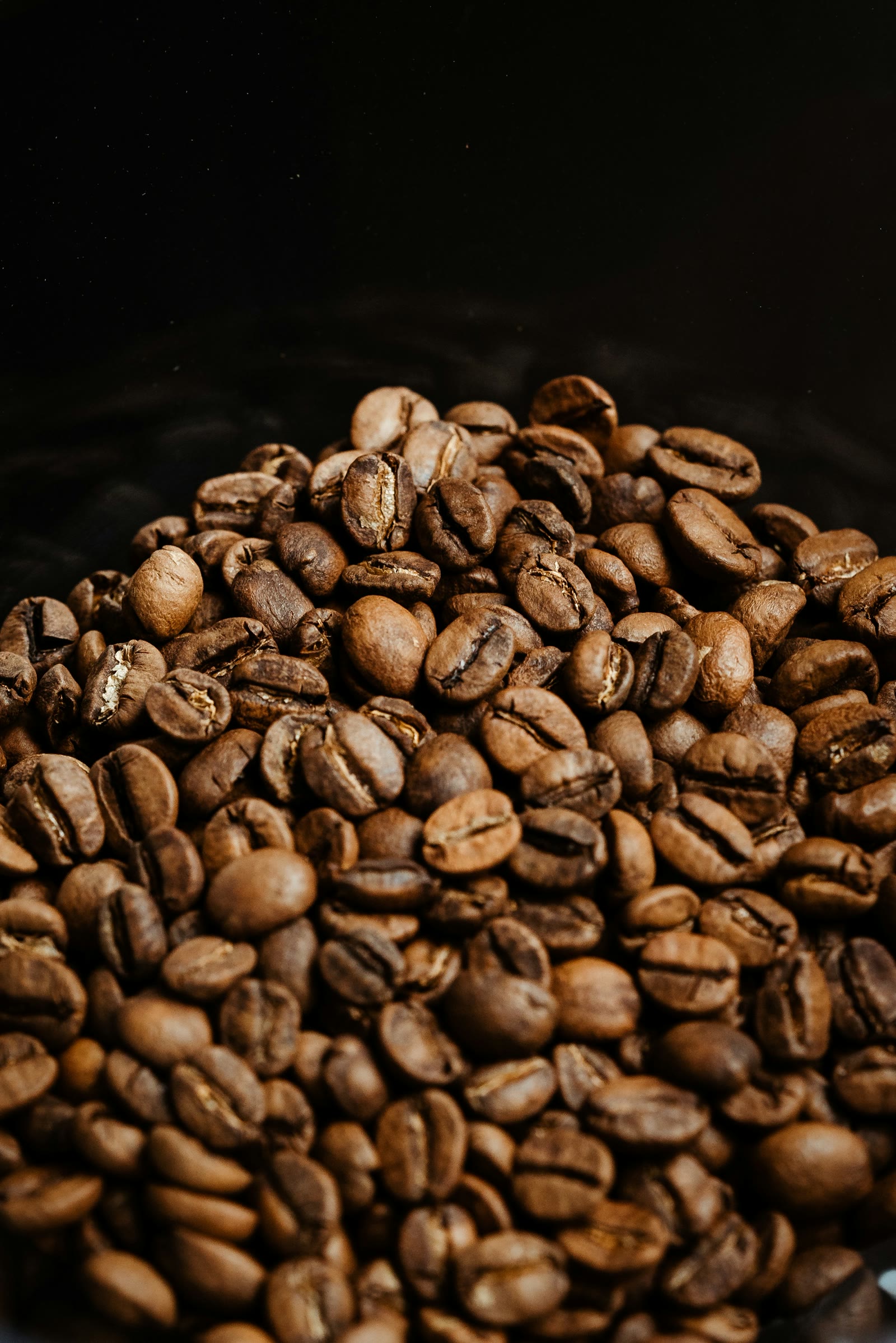 A heap of dark roasted coffee beans catching a soft side light