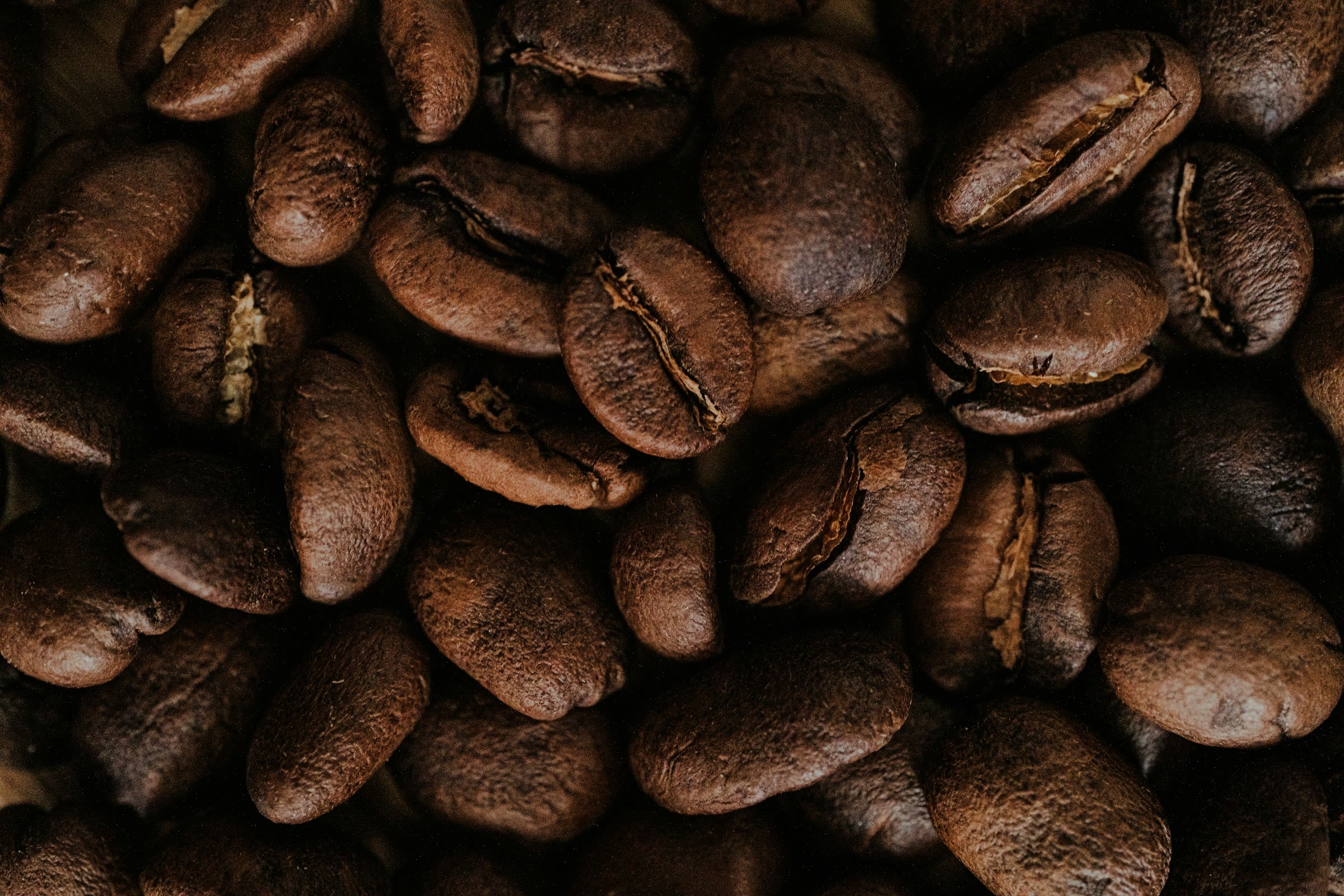 A close view of roasted coffee beans