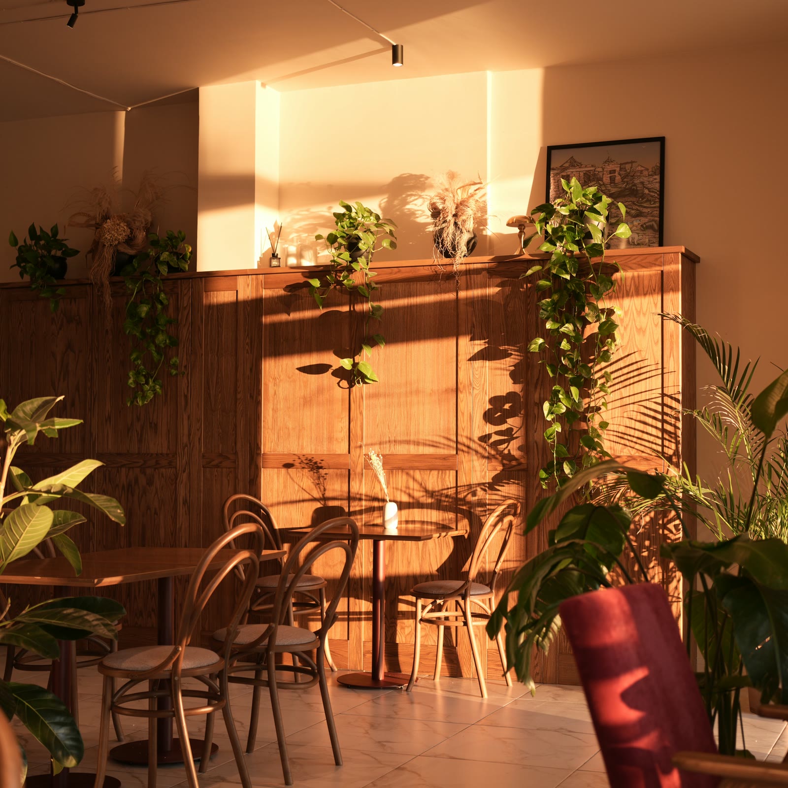 Late sun lighting a wall of plants above bentwood chairs and small tables