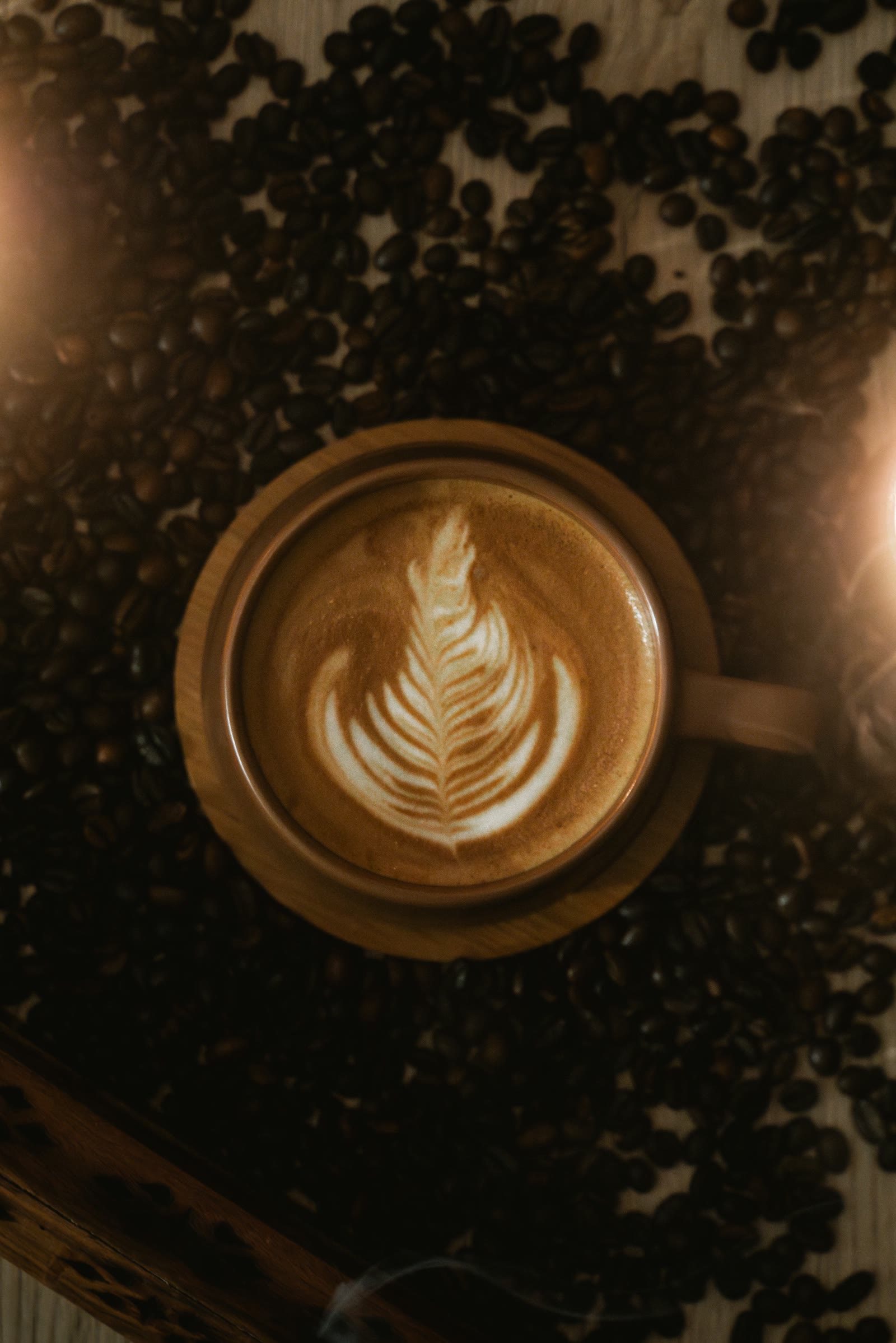 A latte with a leaf pattern seen from above on a speckled dark surface