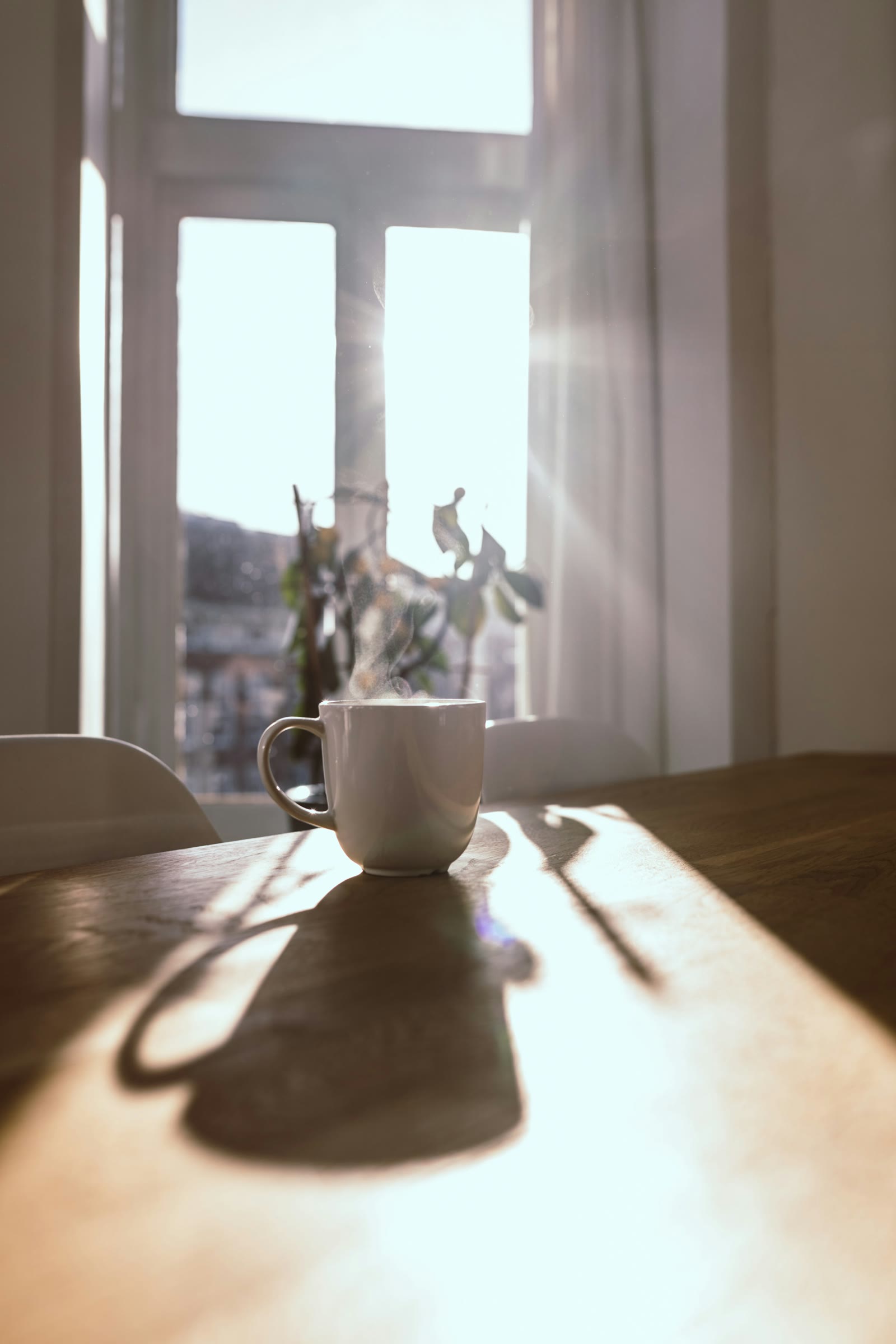 A steaming mug on a wooden table casting a long morning shadow toward a bright window