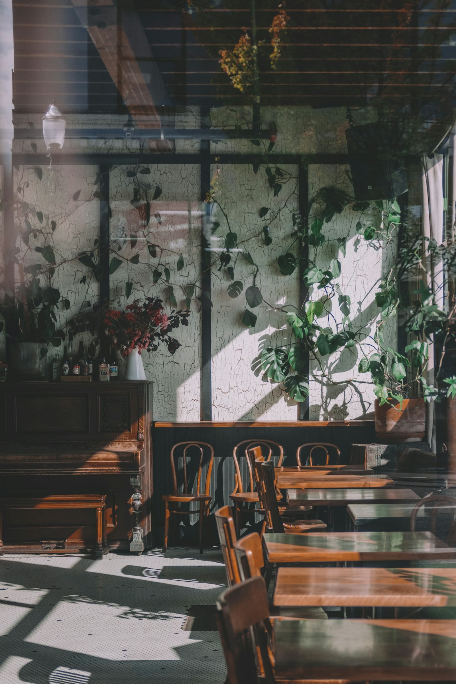 A plant-filled dining room with light falling across rows of tables